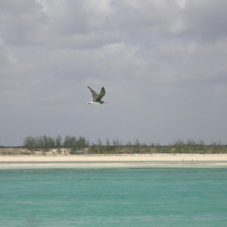 Chiky Villa Watamu Bagian luar foto
