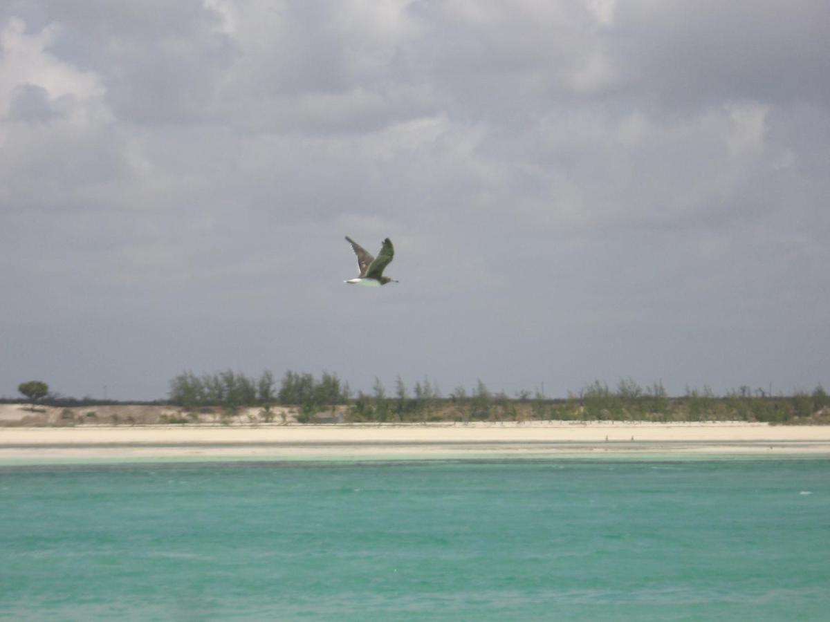 Chiky Villa Watamu Bagian luar foto