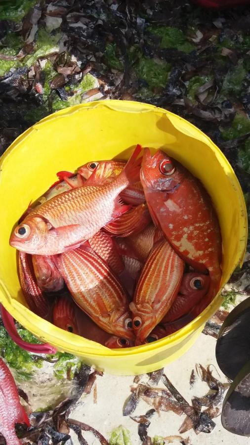 Chiky Villa Watamu Bagian luar foto